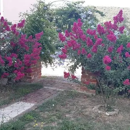 Apartment Robi- Swimming Pool And Beautiful Garden *
